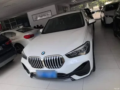2020 BMW X1 sDrive20Li Fashion Model, фото 3, лот 11011903
