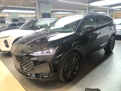 2026 BYD Tang New Energy DM-i 115KM Premium, фото 2, лот 11459951