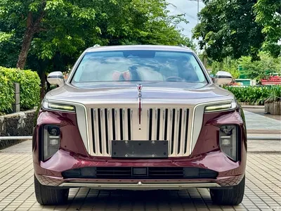 2021 Hongqi E-HS9 510km Flagship Edition 4-seater, фото 2, лот 11550254