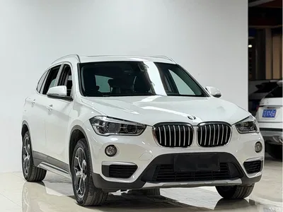 2018 BMW X1 xDrive20Li Premium Model, фото 2, лот 10466681