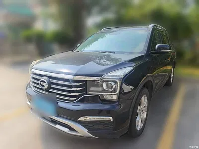 2017 GAC Trumpchi Trumpchi GS8 320T 2WD Luxury Edition (7-Seater), фото 1, лот 10714677