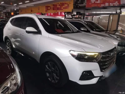 2021 Haval H6 Model National Trend Edition 1.5T Auto Champion, фото 4, лот 11247567