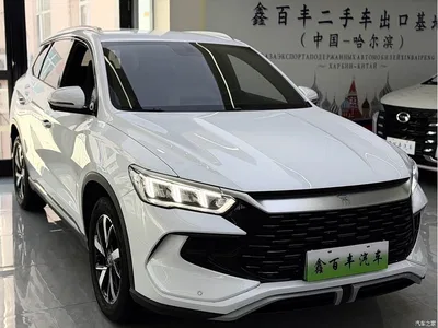 2024 BYD Song Pro New Energy Glory Edition DM-i 71KM Pilot, фото 3, лот 11194842