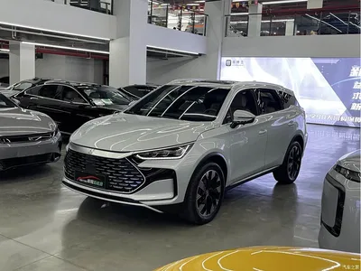 2024 BYD Tang New Energy DM-i Honor Edition 112KM Premium, фото 1, лот 10272869