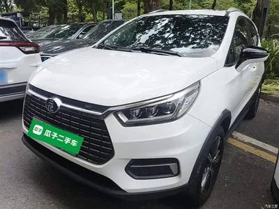 2019 BYD Yuan New Energy EV535 High Energy Navigation Edition, фото 2, лот 10294603