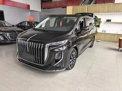 2023 Hongqi HQ9 2.0T Smart Connect Flag Enjoy Edition, фото 1, лот 10886952