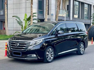 2018 GAC Trumpchi Trumpchi M8 320T Premium Edition, фото 1, лот 10419121