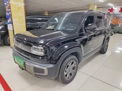 2026 Baojun Yueye Plus 301km Flagship, фото 1, лот 11412122