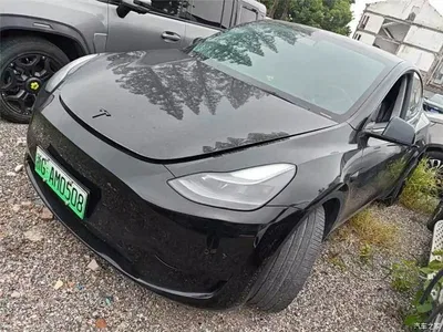 2022 Tesla Model Y Rear-Wheel Drive Version, фото 1, лот 10613001