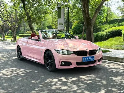 2019 BMW 4 Series 425i Convertible M Sport Shadow Edition, фото 2, лот 10391379