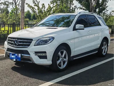 2015 Mercedes-Benz M-Class ML 320 4MATIC, фото 3, лот 10666580