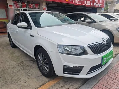2017 Škoda Octavia 1.6L Automatic Pioneer Edition, фото 4, лот 10348104