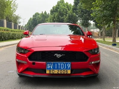 2019 Ford Mustang 2.3L EcoBoost, фото 2, лот 10393516