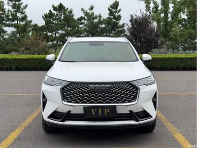 2021 Haval H6 3rd Gen 1.5T Auto 2WD Pro, фото 1, лот 10281957