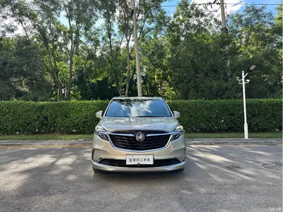 2021 Buick GL8 ES Landlord 653T Premium, фото 2, лот 10257683