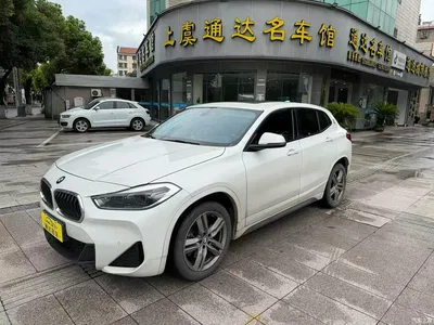 2021 BMW X2 sDrive25i Leading M Sport Package, фото 1, лот 10889385