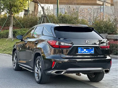 2016 Lexus RX 300 4WD Elegance Edition (China V), фото 4, лот 10316425