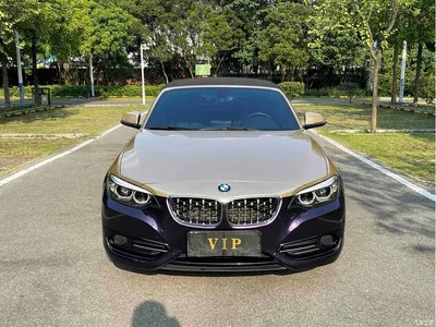 2019 BMW 2 Series (Import) 225i Exclusive M Sport Package, фото 2, лот 10403383
