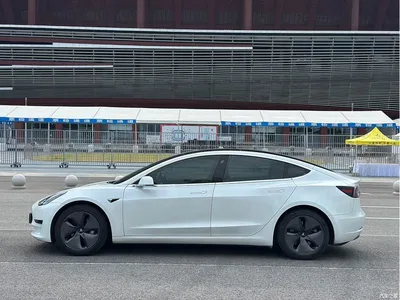 2020 Tesla Model 3 Standard Range Rear-Wheel Drive Upgrade, фото 3, лот 10366903