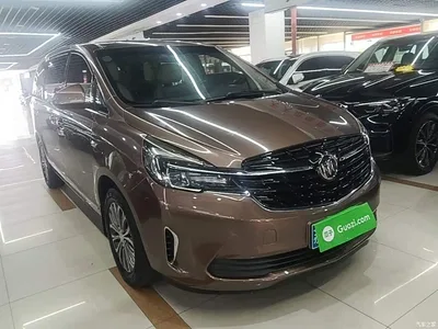 2020 Buick GL8 Model Land Business Class 652T Luxury, фото 4, лот 10262028