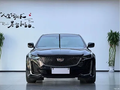 2023 Cadillac CT5 28T Prestige Style, фото 2, лот 10307750