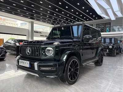 2020 Mercedes-Benz G-Class G 350, фото 1, лот 10295964
