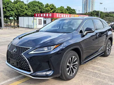 2020 Lexus RX 300 2WD Elite Edition China VI, фото 1, лот 10625674