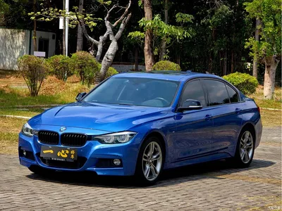 2019 BMW 3 Series 320Li M Sport Black Night Edition, фото 1, лот 11568814