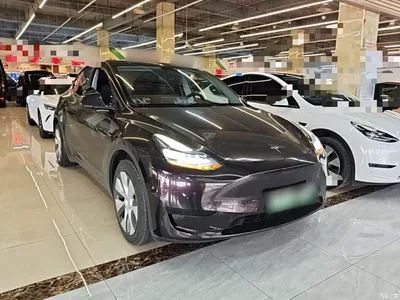 2023 Tesla Model Y Rear-Wheel Drive Edition, фото 4, лот 10369637