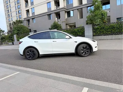 2023 Tesla Model Y Rear-Wheel Drive Edition, фото 3, лот 10454923