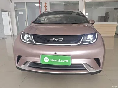 2025 BYD Dolphin 420km Fashion Edition, фото 3, лот 11131957