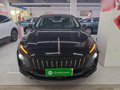 2023 Hongqi E-QM5 Facelift Basic Travel Edition, фото 3, лот 10289346