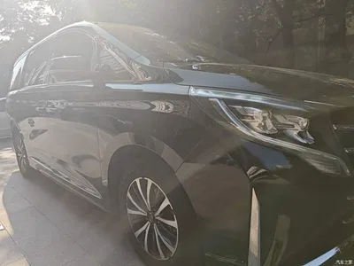 2023 GAC Trumpchi Trumpchi M8 Leading Series 390T Premium Edition, фото 3, лот 10684412