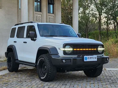 2024 Tank 300 Model 2.0T Challenger, фото 3, лот 11247529
