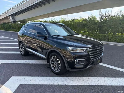 2020 Haval H6 1.5GDIT Automatic Platinum Champion Edition, фото 3, лот 10296378