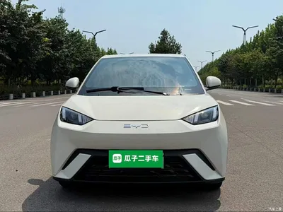 2025 BYD Seagull 305km Vitality, фото 3, лот 10262882