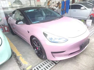 2022 Tesla Model 3 Model Rear-Wheel Drive Version, фото 4, лот 10370280