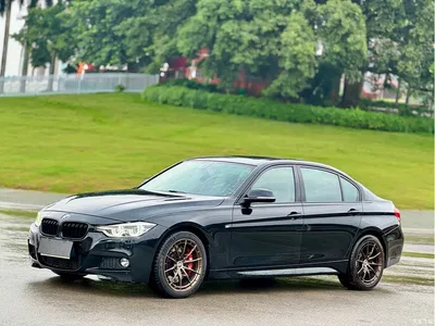 2017 BMW 3 Series 320Li M Sport, фото 1, лот 10481758