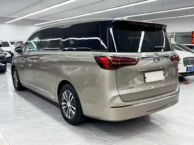 2023 Buick GL8 ES Landmaster Comfort, фото 4, лот 11398290