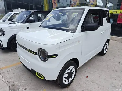 2025 Geely Galaxy Panda mini 210km Vitality Bear, фото 1, лот 10433396