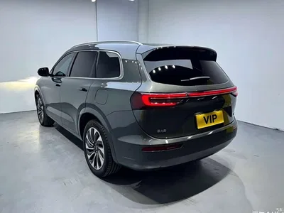 2022 AITO Wenjie AITO M7 1.5T RWD Comfort Edition, фото 4, лот 11006749