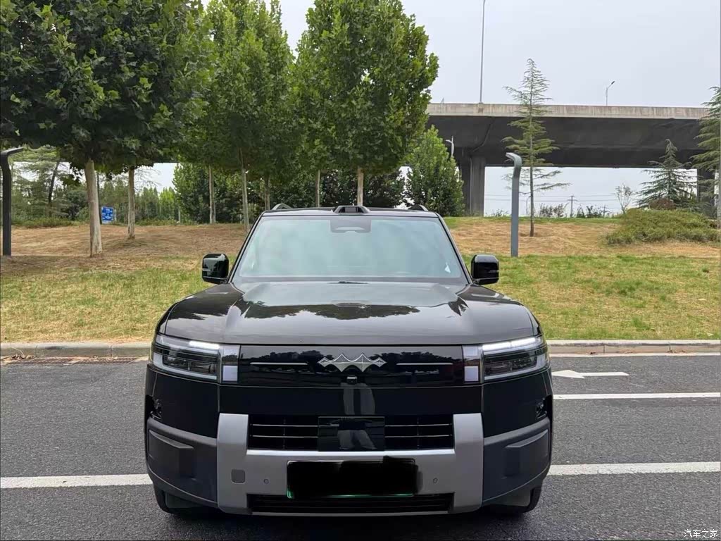 2025 Byd Titanium 7 AWD Base Model, фото 2, лот 10893994