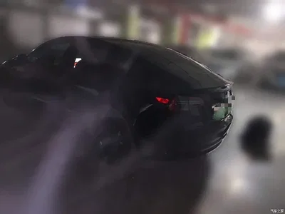 2022 Tesla Model 3 Model Rear-Wheel Drive Version, фото 4, лот 10774586
