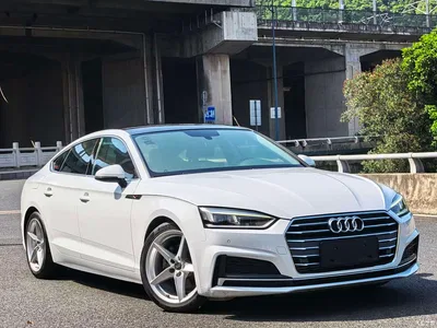 2019 Audi A5 (Import) Sportback 40 TFSI Fashion, фото 1, лот 10463580