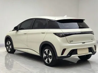 2025 BYD Dolphin 420km Freedom Edition, фото 4, лот 10251345