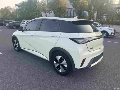 2023 BYD Dolphin 420km Fashion Edition, фото 4, лот 10258119