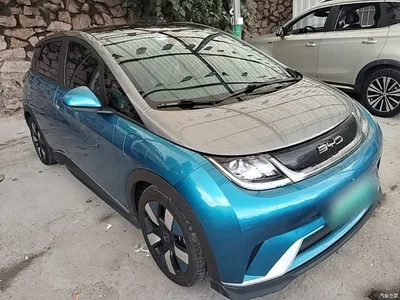 2021 BYD Dolphin 401km Knight Edition, фото 4, лот 10260656
