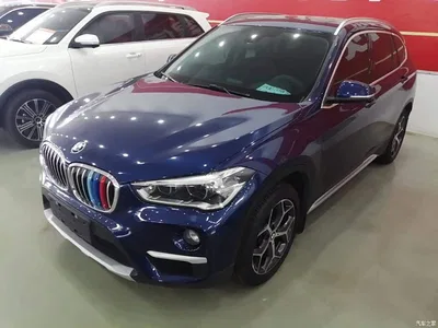 2019 BMW X1 sDrive18Li Premium Model, фото 1, лот 10467311