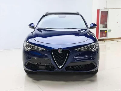 2017 Alfa Romeo Stelvio 2.0T 280HP Luxury, фото 2, лот 10240310