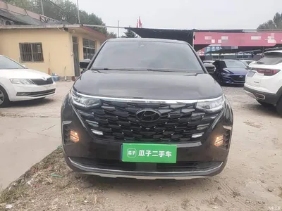 2021 Hyundai Kustu 380TGDi Smart Love Flagship TOP Premium, фото 3, лот 11133877